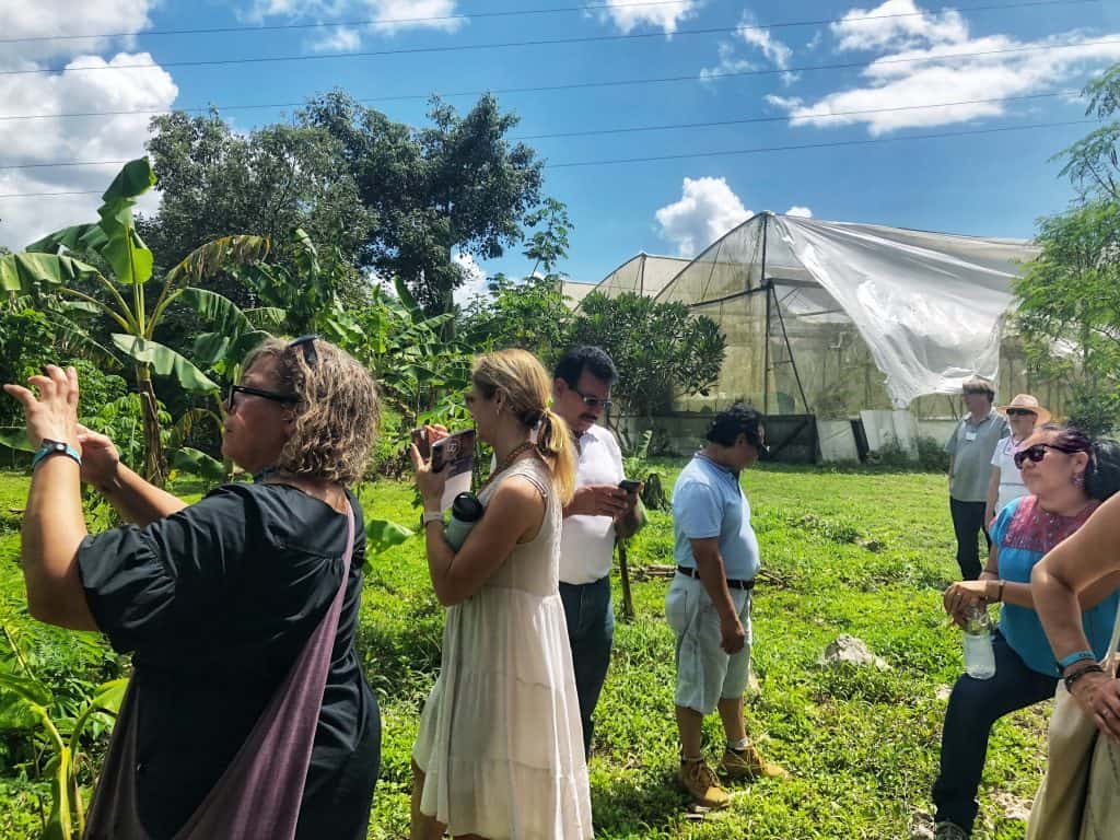 A group of OC delegates on a tour at the farm. They are photographing the farm and listening to the tour guide explain the sustainable practices.