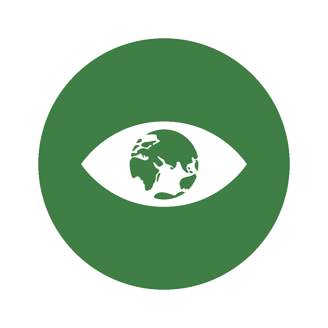 SDG 13 Icon - climate action