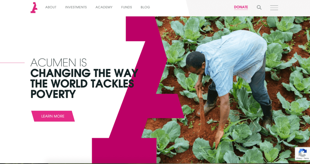 A hardworking man making sure his cabbages are healthy for harvesting on Acumen's Home Page Banner