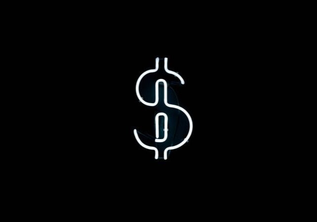A Neon dollar sign